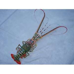  Hand Made Bamboo Model Big Lobster for Wall Decoration 31 