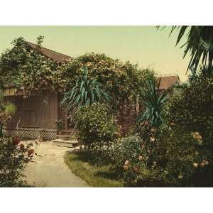   Poster   Rose covered cottage Pasadena 24 X 18.5 