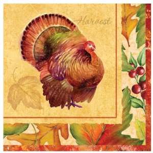   By Creative Converting Settlers Feast Lunch Napkins 