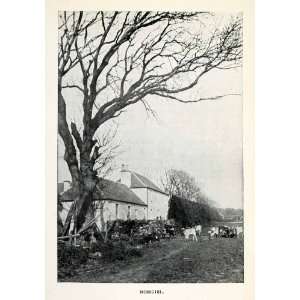  1904 Print Farm Mossgiel Robert Gilbert Burns Mossgaville 
