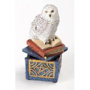  Snow Owl Magical Box