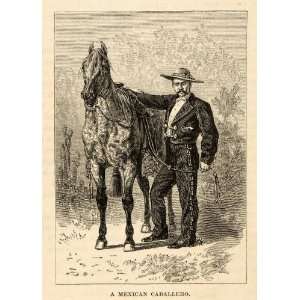   Portrait Horse Animal   Original In Text Wood Engraving Home