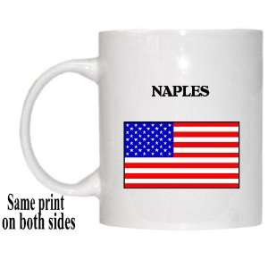  US Flag   Naples, Florida (FL) Mug 