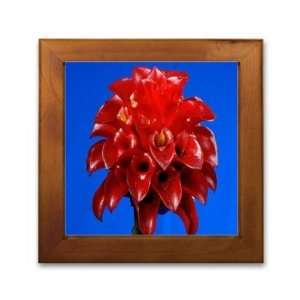 Framed Printed Ceramic Tile   Framed Art   6 x 6   Design Flower 