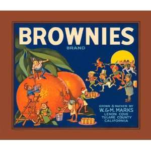  BROWNIES BRAND ORANGE JUICE CALIFORNIA USA FRUIT CRATE 