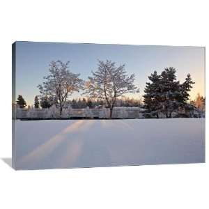 Winter Sunset on Snow Covered Trees   Gallery Wrapped Canvas   Museum 