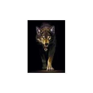  Prowling Wolf Poster Print