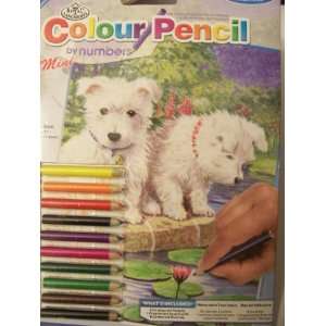    Royal & Langnickel Colour Pencil by Numbers ~ Westies Toys & Games