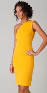 Diane von Furstenberg Shayna One Shoulder Dress  