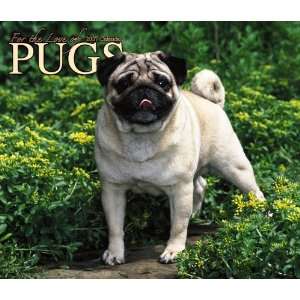  For the Love of Pugs 2007 Calendar (9781421607917) Books