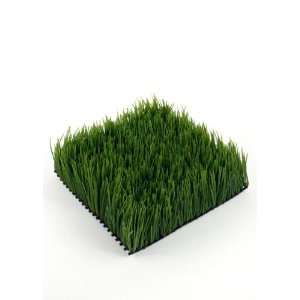  Artificial Wheatgrass Mat 10in Sq. X 3 in H Patio, Lawn 