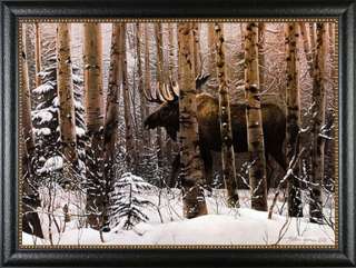 Walk in the Woods Stephen Lyman Moose Framed Print 41.5x29.25  
