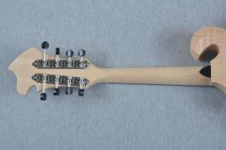 Breedlove American Series F Mandolin   Made in USA 875934003614  