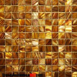 SAMPLE Conus gold natural shell mosaic tile backsplash  