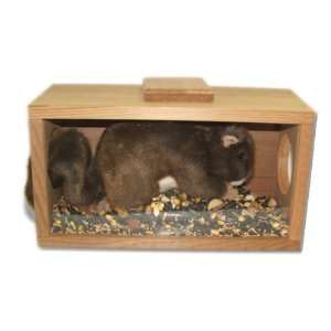 Munch NView Squirrel Feeder   Treat your Furry Friends, Protecting 