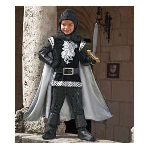  personalized brave silver knight costume Toys & Games