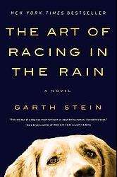 The Art of Racing in the Rain (Paperback)  