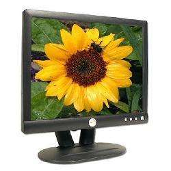 Dell E153FPB 15 inch UltraSharp Black LCD Monitor  