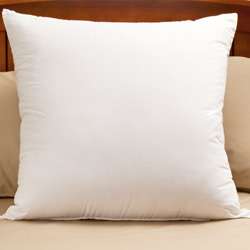 Euro Square Pillows (Set of 2)  