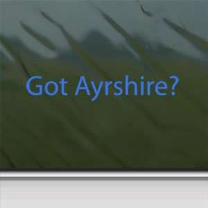  Got Ayrshire? Blue Decal Beef Cattle Cow Breed Car Blue 