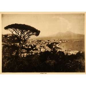  1913 Intaglio Print Naples Napoli Italy Seaport City Mount 