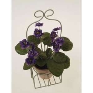  POTTED VIOLET*****