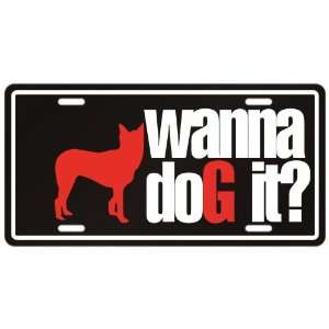  New  Mcnab / Wanna Dog It ?  License Plate Dog Kitchen 
