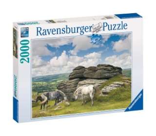  Horses in Dartmoor National Park Jigsaw Puzzle   2000 pc  