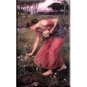 Narcissus 19x30 Streched Canvas Art by Waterhouse, John William 