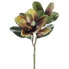 Allstate Floral Pack of 6 Artificial Silk Avocado Brown Magnolia 