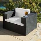  Indoor/ Outdoor Resin Wicker Deep Seating Club Chair