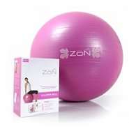 ZoN Pink Balance Balls 