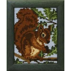  Squirrel   Needlepoint Kit Arts, Crafts & Sewing