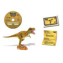 Dino Dan Kit   Medium   T Rex   Geoworld   