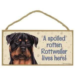  Rottweiler   A spoiled your favoriate dog breed lives 