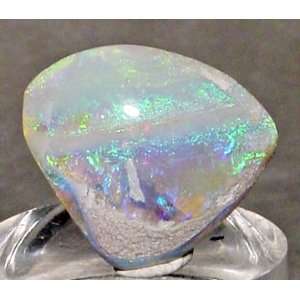 Opal  Fossilized Opal Clamshell Natural Gem Crystal  Coober Pedy 