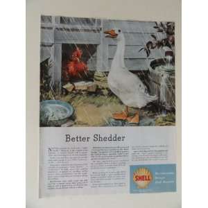 Shell Oil Company. 40s full page print ad. (chicken/duck,rain 