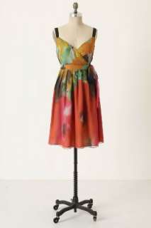 Anthropologie   Blurred Boundaries Dress  