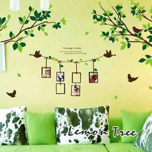   Decal Sticker   Green Tree Branches with Love Birds & Photo Frames