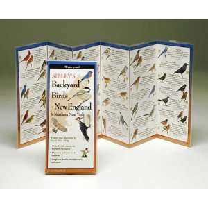   Sibleys Backyard Birds New England & Northern New York   69 Species