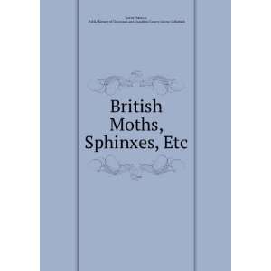  British Moths, Sphinxes, Etc. Public Library of Cincinnati 