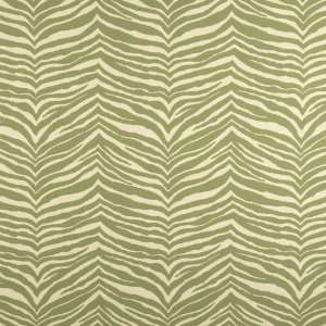  Fabricut Ferocity Mint 3384902