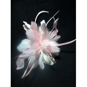  Large Light Pink Feather Hair Clip and Pin Everything 