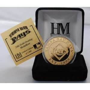  Tampa Bay Rays Gold Team Coin 
