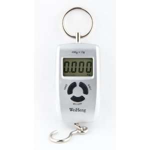Newton Professional Portable Electronic Hanging Scale Grey 45kg/10g 