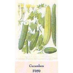  Cucumbers Poster Print