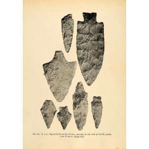  1910 Print Blade Quartzite Archeology Neolithic Potomac 