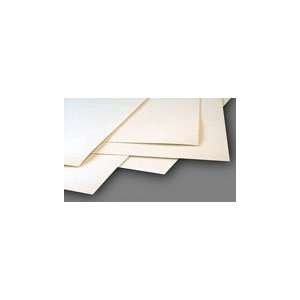  Coquille Board Coarse Stipple 22x30 Pk/5 Arts, Crafts 