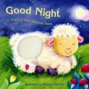 Good Night Bedtime Book