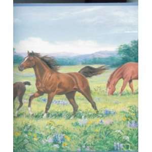  Horse in Field wallpaper Border SINGLE rolls